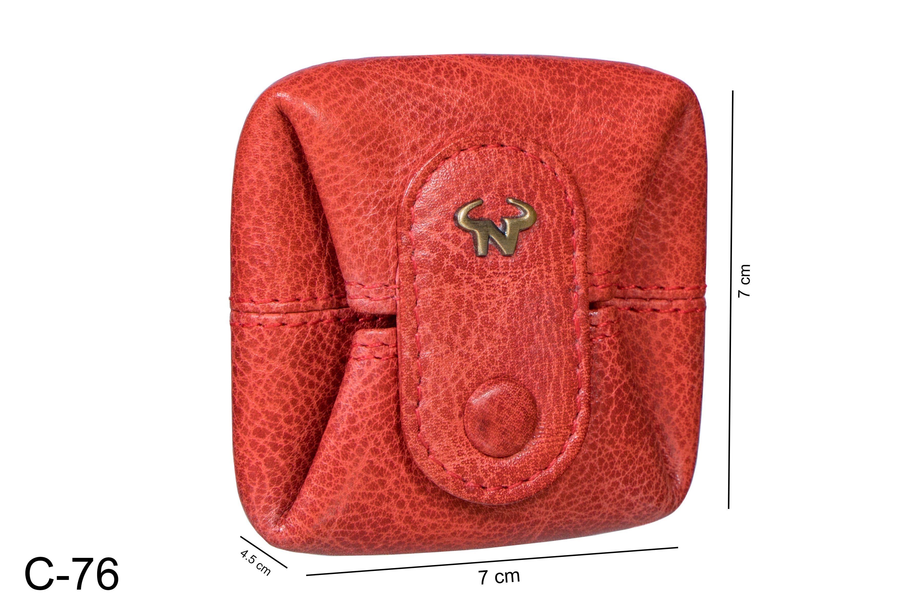 The Pebble Coin case