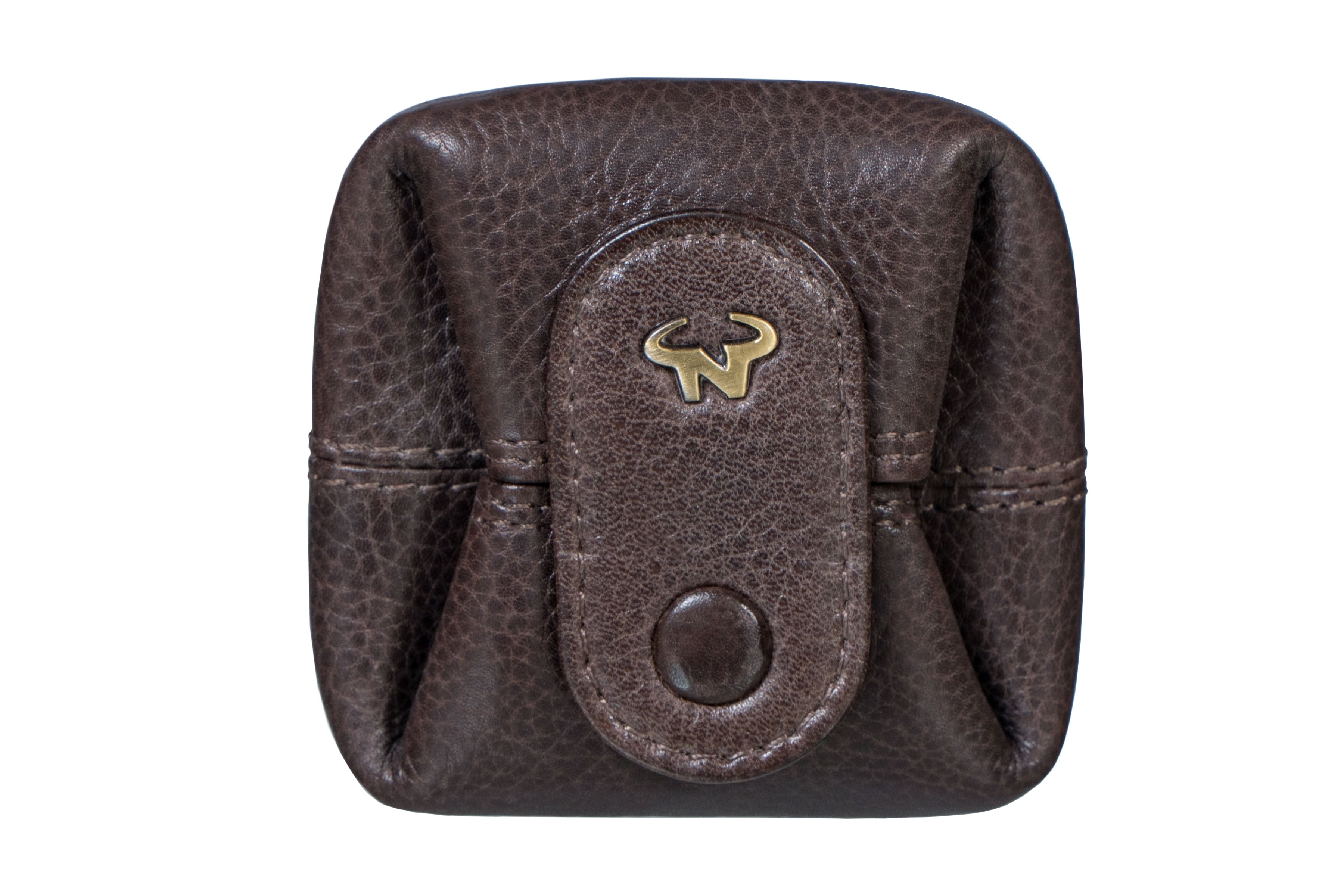 The Pebble Coin case
