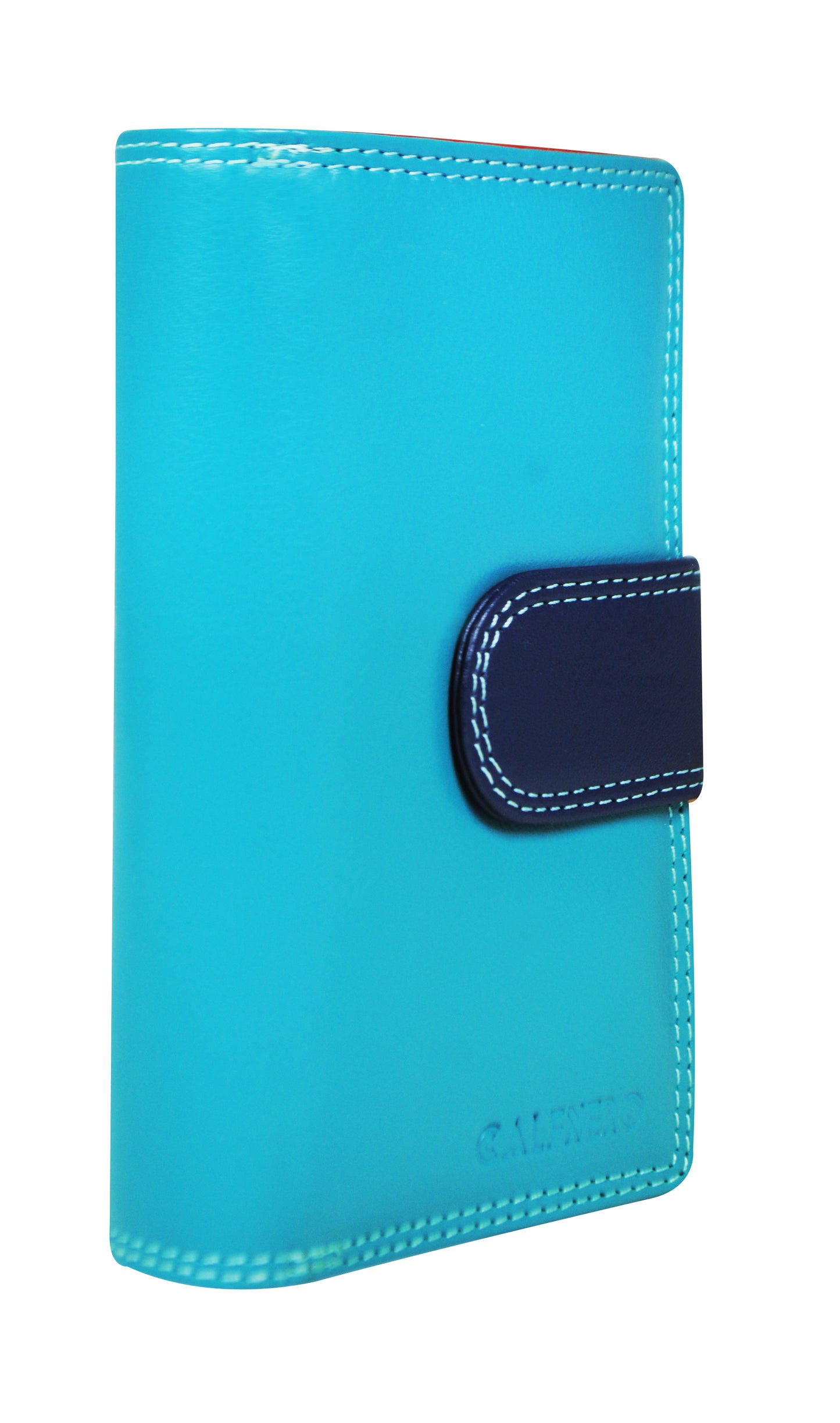 Calfnero Genuine Leather Women's Wallet (6080-Green-Multi)
