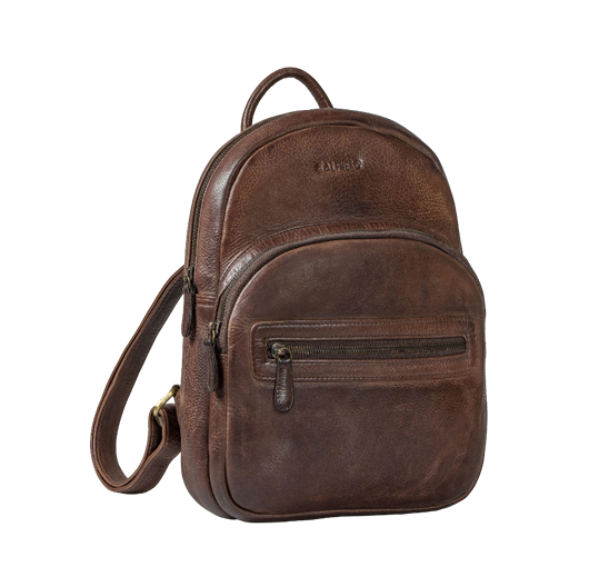 Ryder Men's Backpack