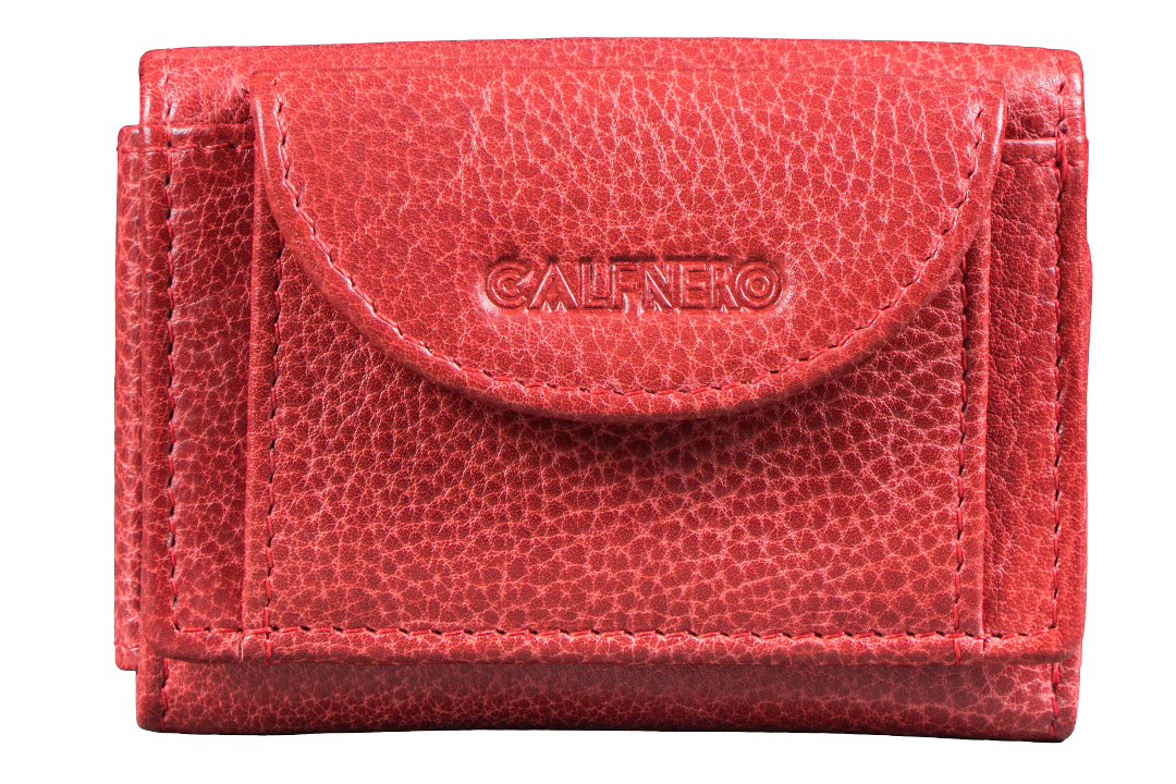 "Ishika"Card Case