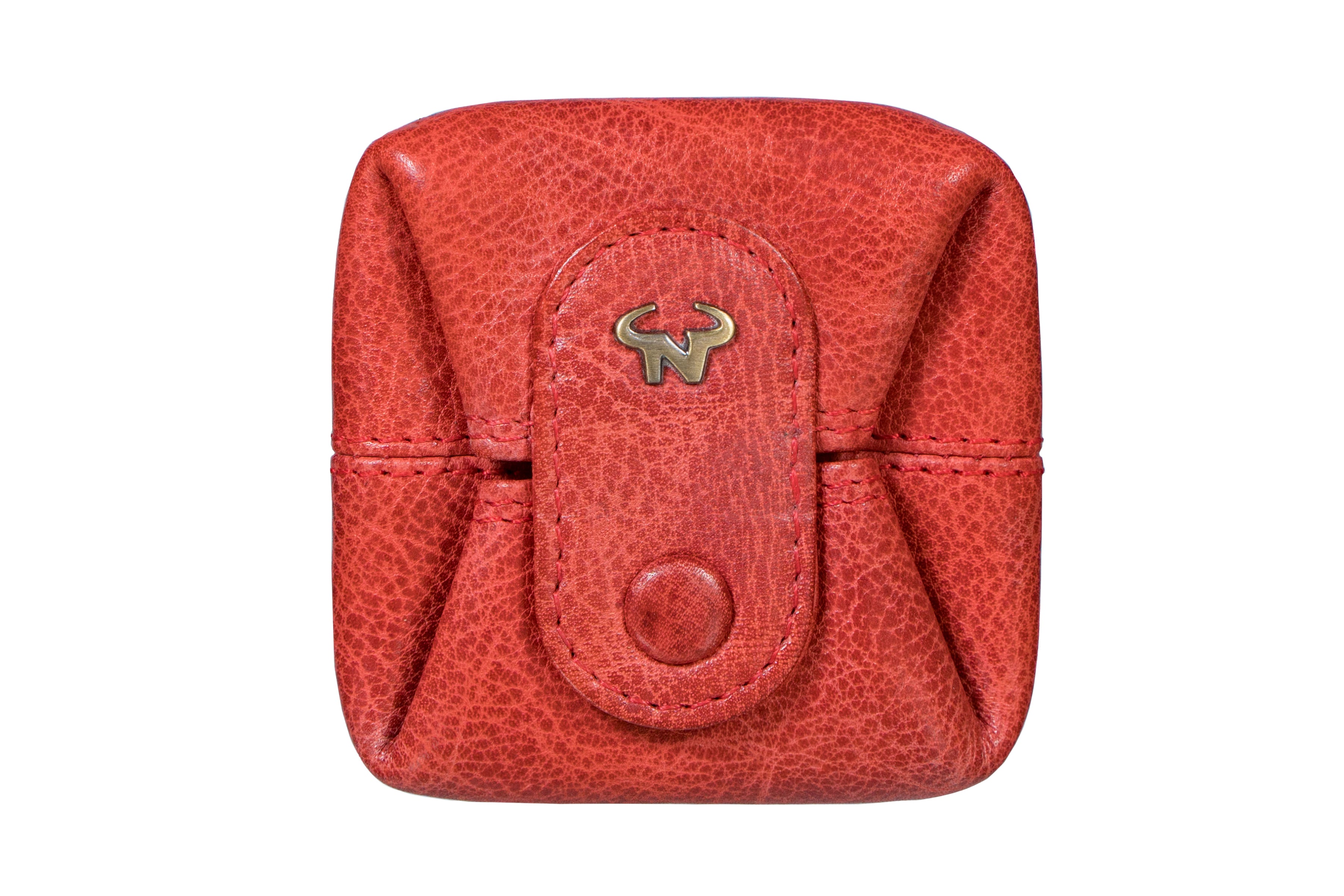 The Pebble Coin case