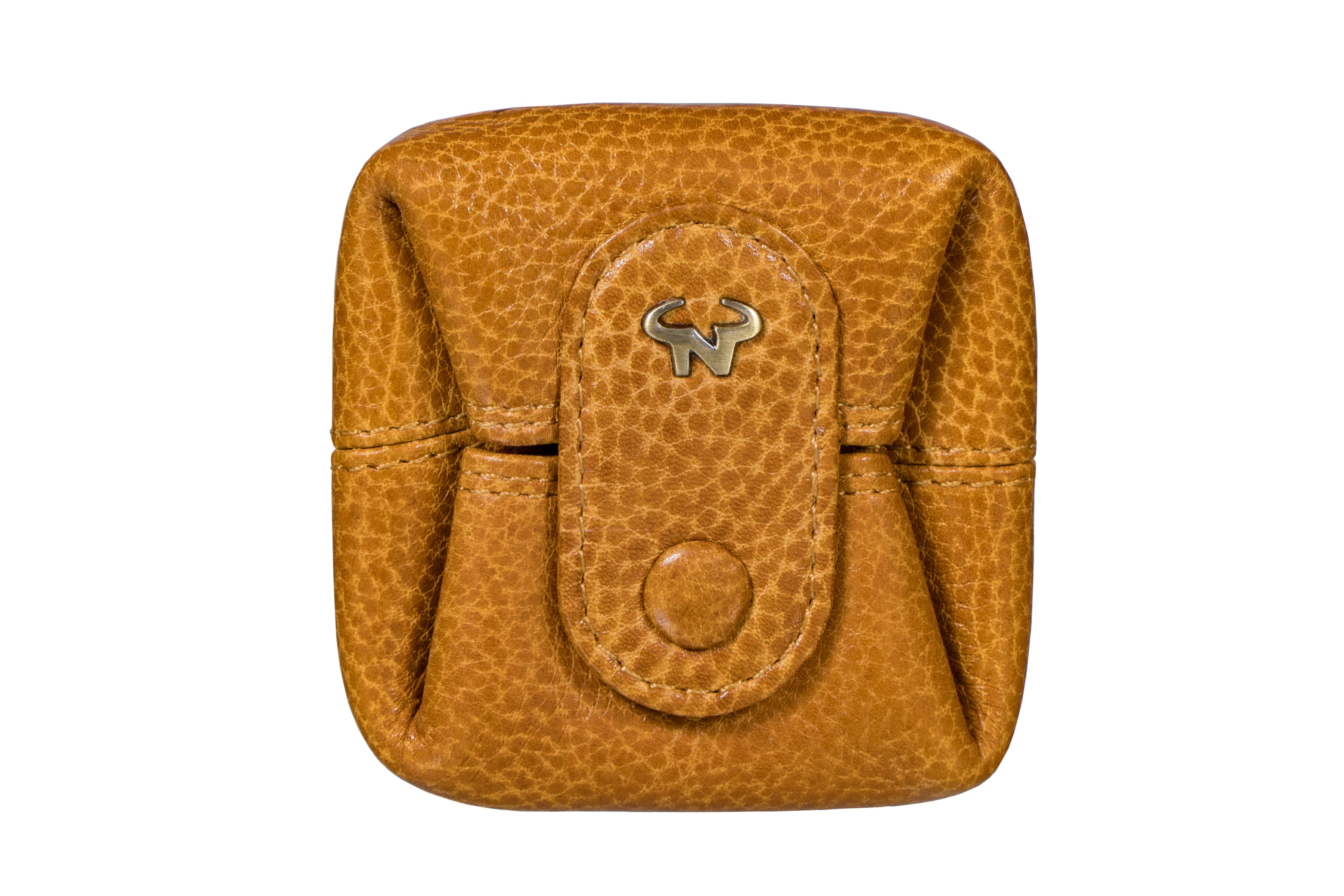 The Pebble Coin case