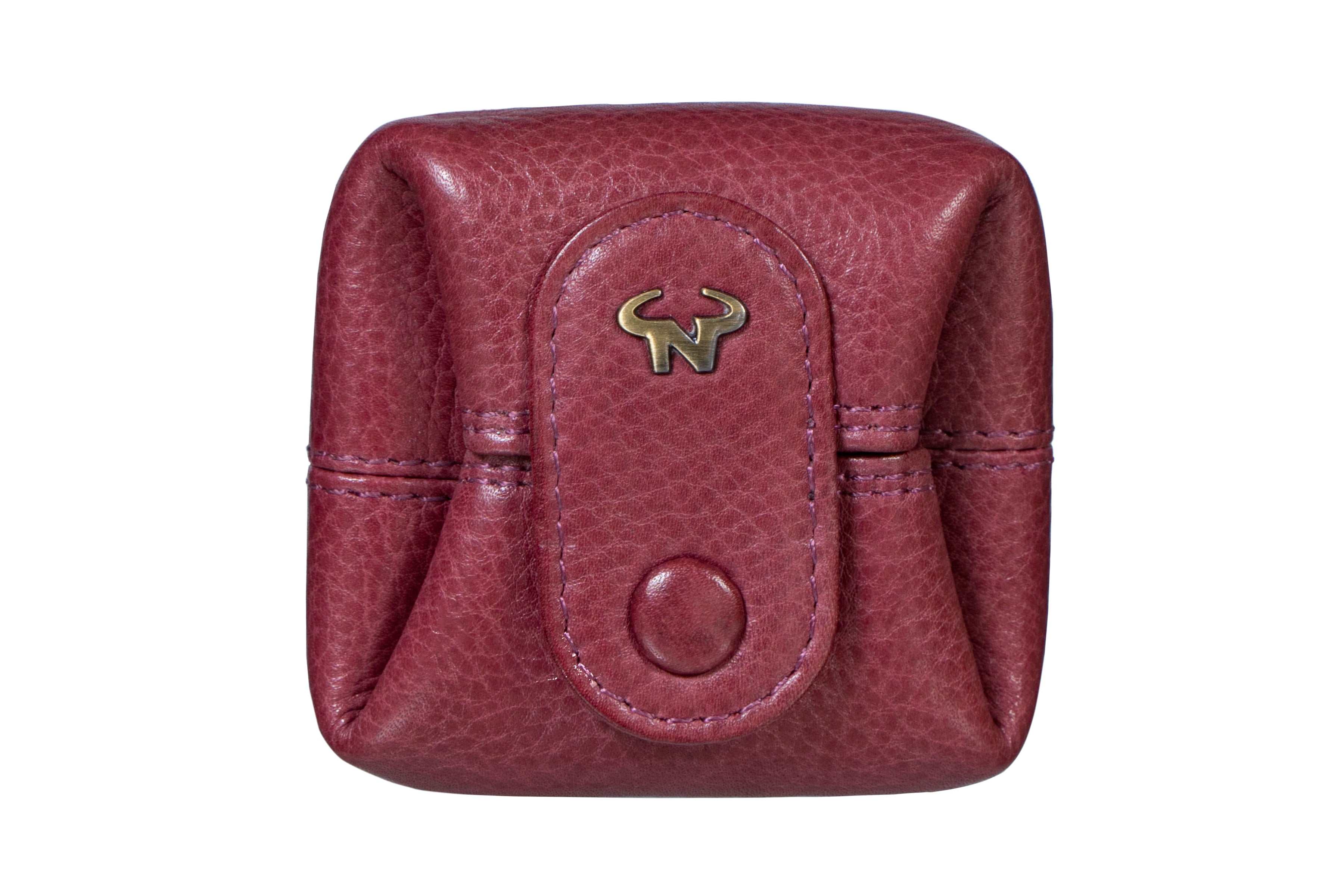 The Pebble Coin case