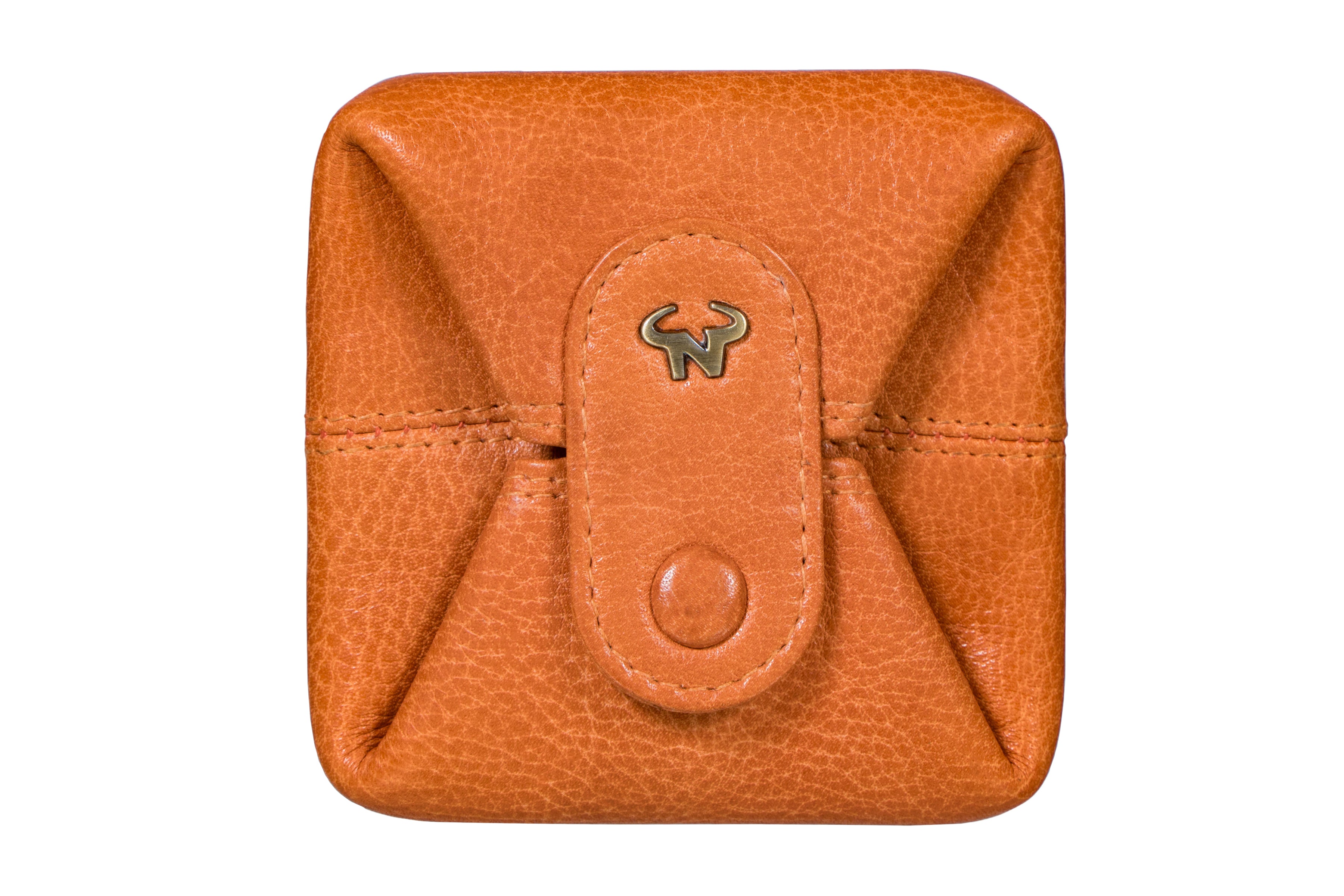 The Pippa Coin case