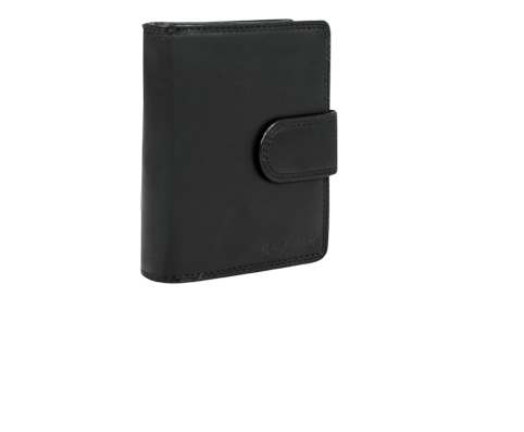 "Zeenat" Women's Wallet
