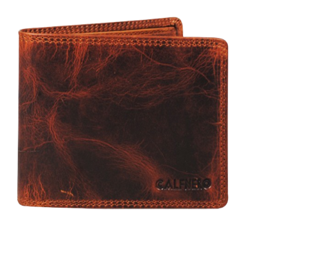"Frontier" Men's Wallet