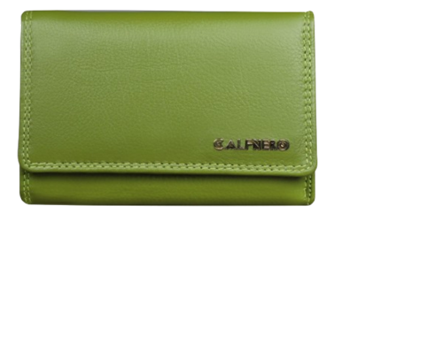 "Ivy" Women's Wallet Green
