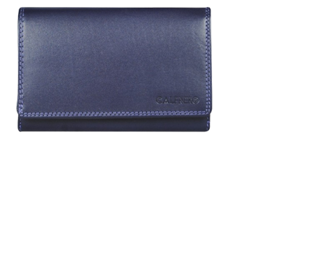 "Daria" Women's Wallet Purple