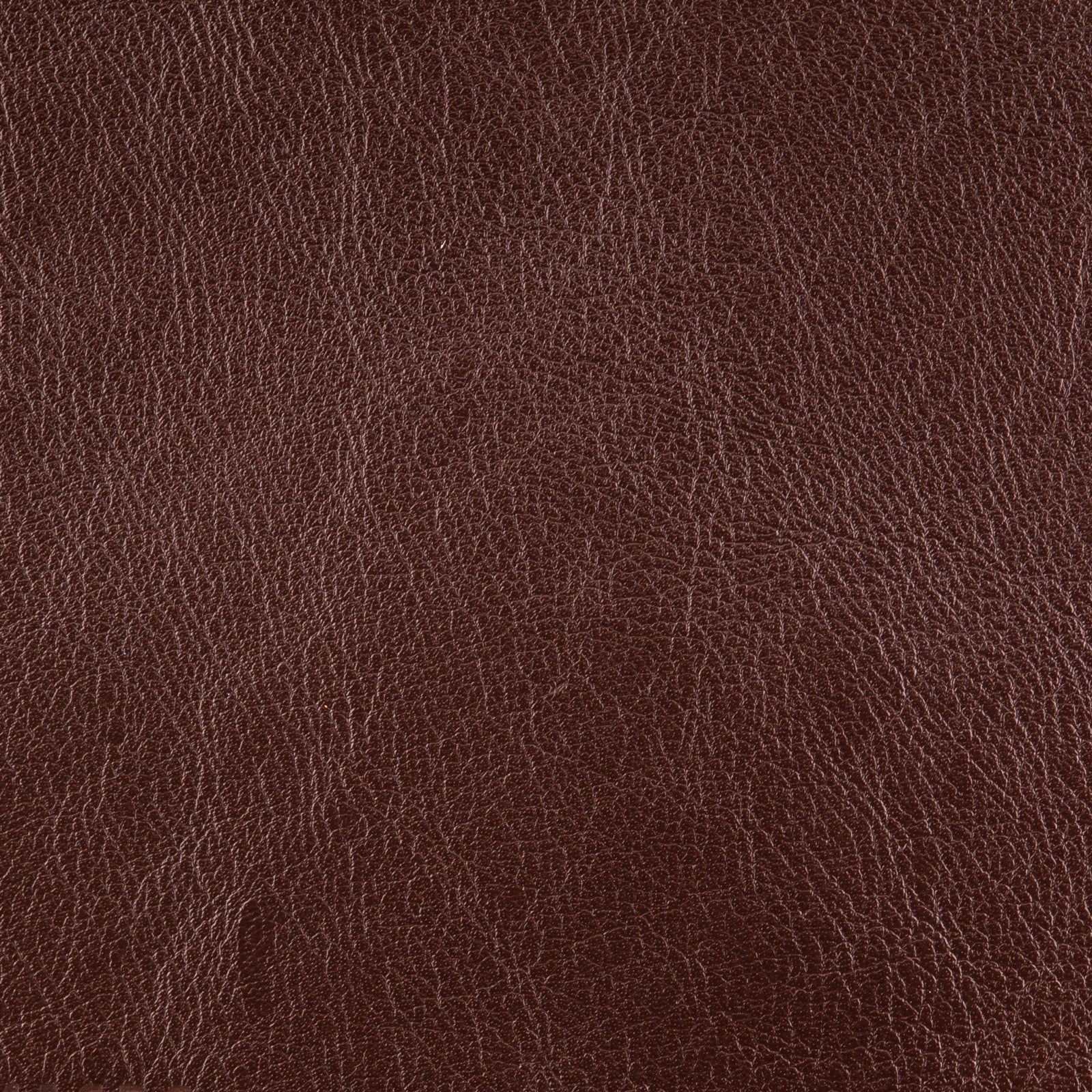 Kara leather texture close-up